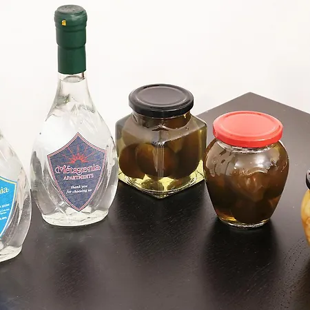 公寓 Metaxenia's 202 塞萨洛尼基