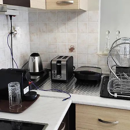 Apartmán Metaxenia's 202 *